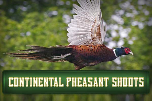 4R Ranch South Texas Continental Pheasant Shoots