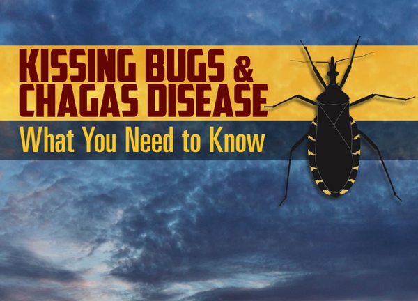 Chagas Disease