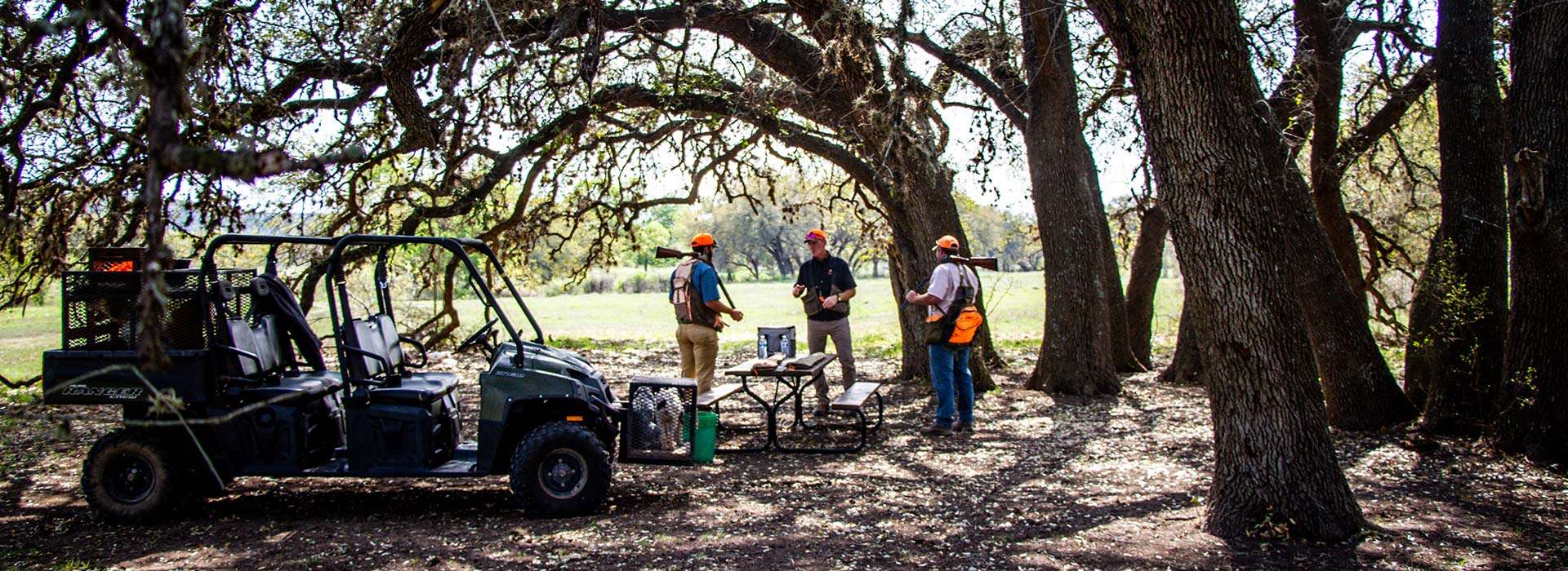 South Texas Upland Bird Hunting Trips South Texas Upland Bird Hunting Trips