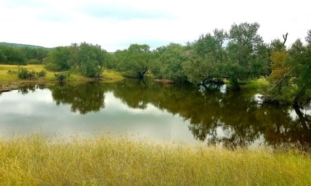 texas hunting ranch